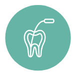 Root Canals Root Canals